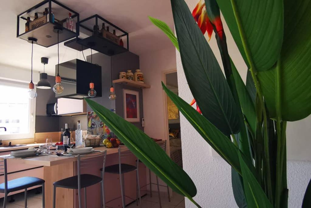 Appartement Premium, Proche Faculte & Centre Ville Ideal Digital Nomad Perpignan Exterior photo